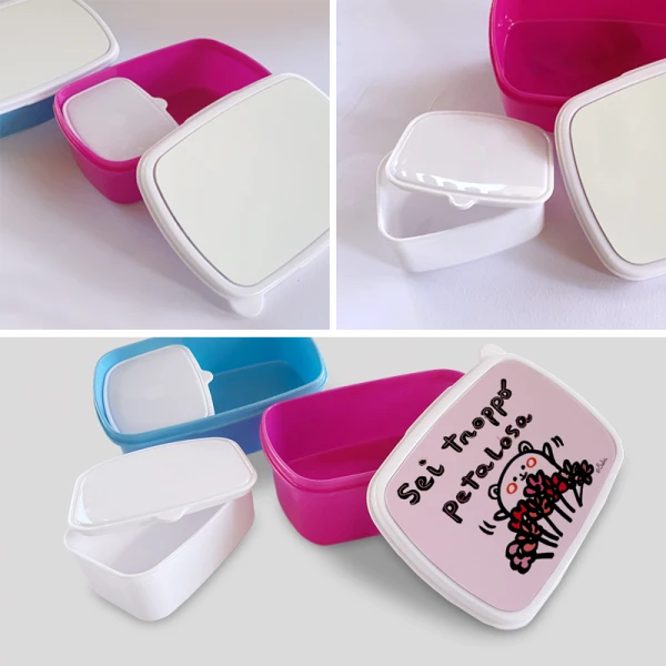 Box Portapranzo in Plastica