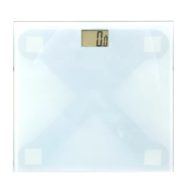 Bilancia Elettronica