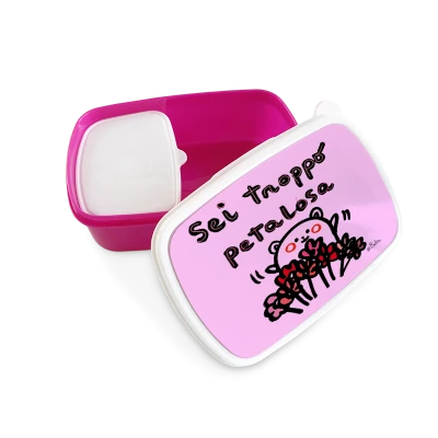 Box Portapranzo in Plastica