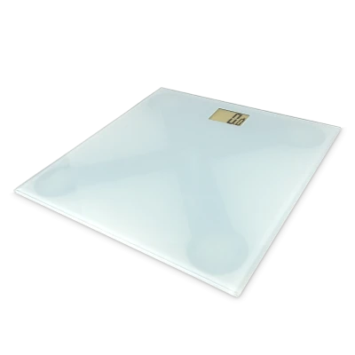 Bilancia Elettronica