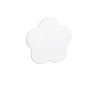 Magnete in Ceramica 2